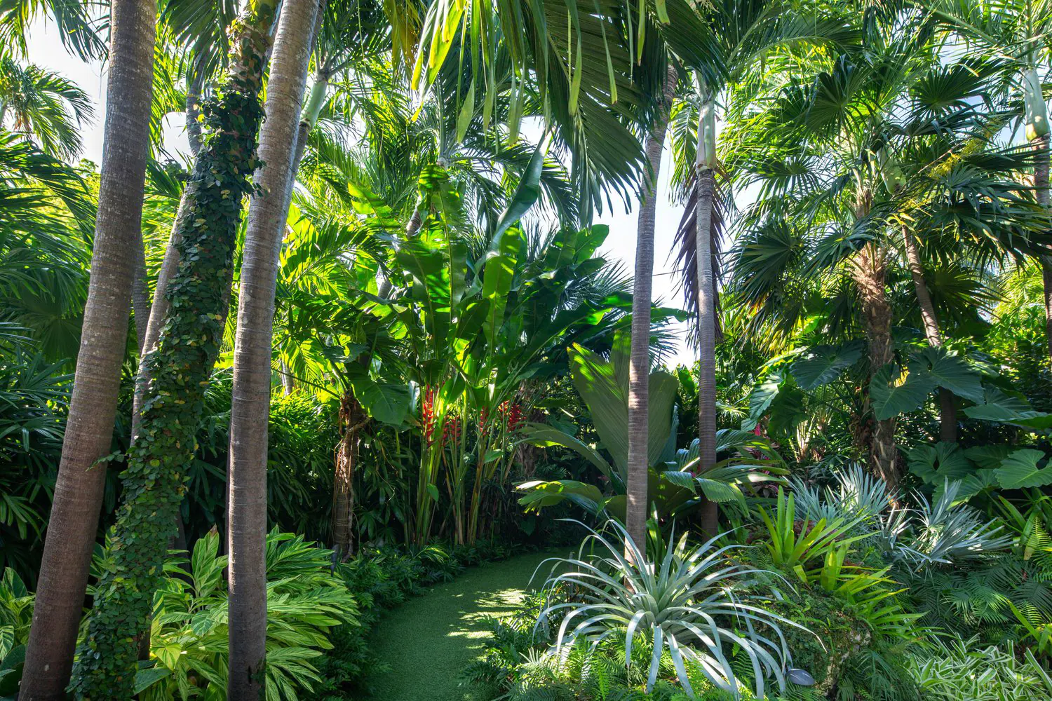 Landscape garden designed by Urban Portico, Kerala